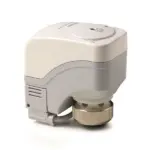 BPZ:SSP81