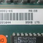 DSMB-175