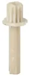 029477  AE(+19MM)-T0
