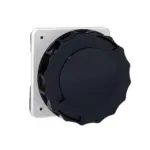 81685