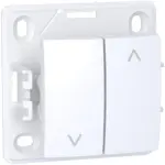ALB61197P