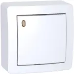 ALB62052P