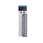 CS1W-AD081