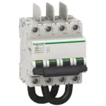 MGN61690