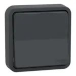 MUR35037