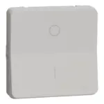 MUR39033