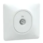 S321405