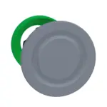 ZB5FSCUST01