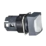 ZB6CF1