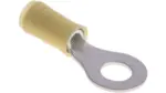 320569