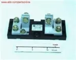1SFA899006R3004