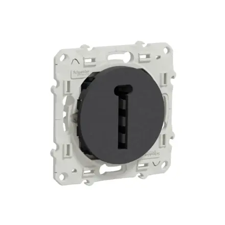 S540496 Schneider Electric