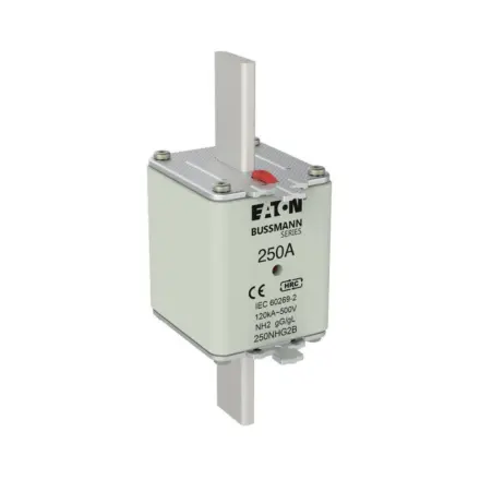 250NHG2B Bussmann