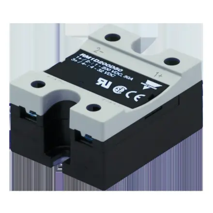 RM1D060D100 Carlo Gavazzi