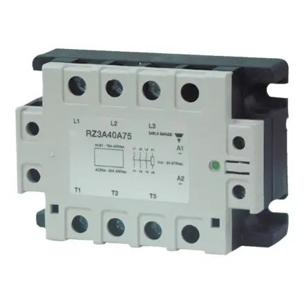 RZ3A60A55 Carlo Gavazzi