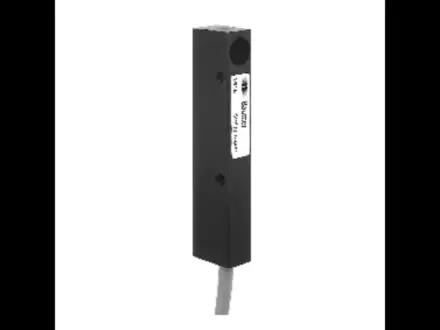 FZDM 08N1002 Baumer