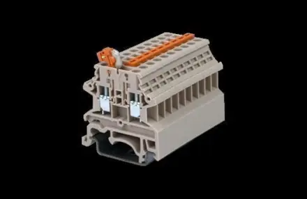 DK2.5N-TG Dinkle