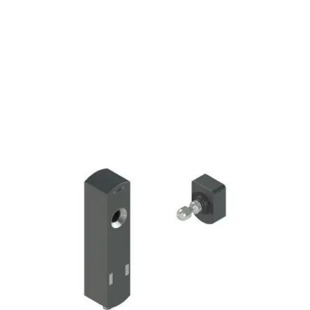 NS D4AZ1SMK-F41 Pizzato