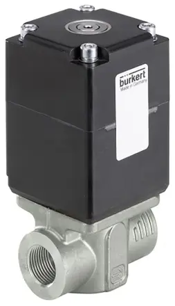 239089 Burkert