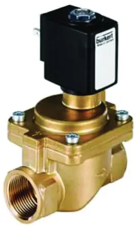 221865 Burkert