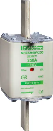 DF2JA1311 Schneider Electric