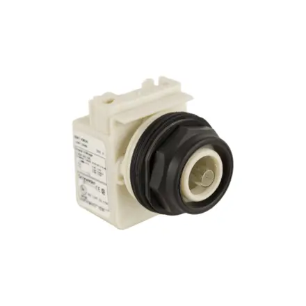 9001SKP38 Schneider Electric