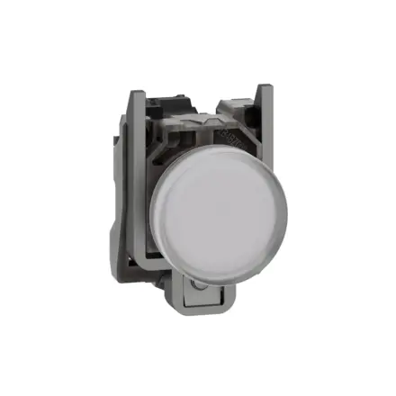 XB4BVG1 Schneider Electric