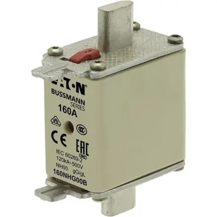100NHG00B-690 Bussmann