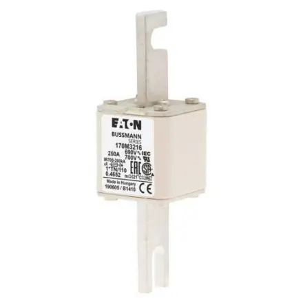 170M3216 Bussmann