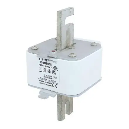 170M6035 Bussmann