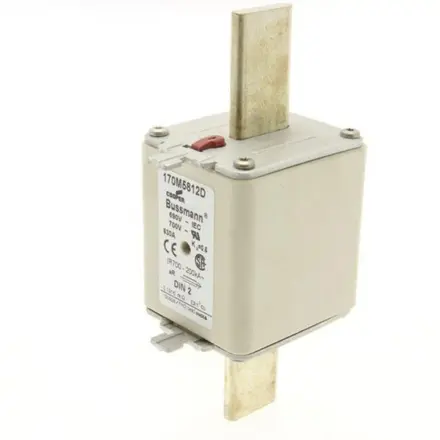 170M5813D Bussmann