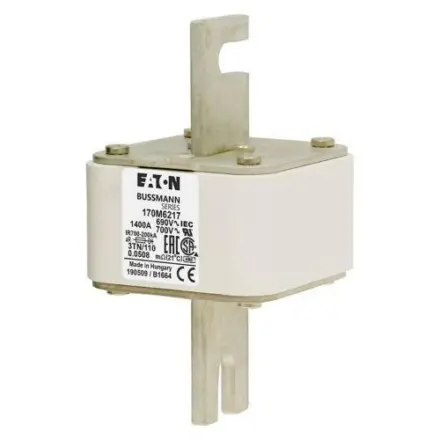 170M6217 Bussmann