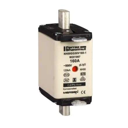 DF2FGN100 Schneider Electric