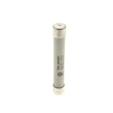 FWL-30A20FI Bussmann