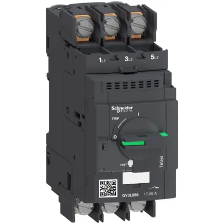 GV3L256 Schneider Electric