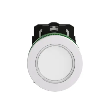 XB5FVB1C1 Schneider Electric